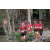Team 108 / Raid Amazones Cambodge 2018 - J1 Trek